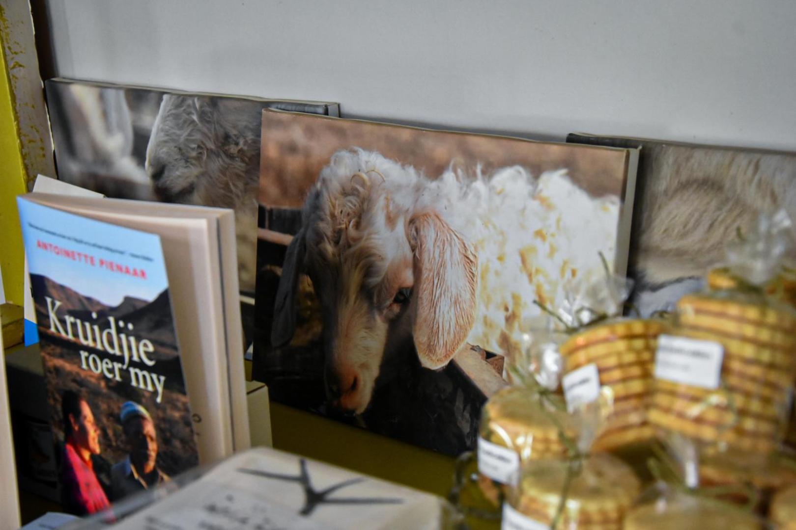 Beautiful Betty Guesthouse Beaufort West Esterno foto