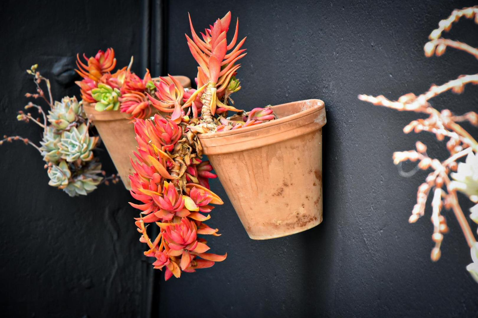 Beautiful Betty Guesthouse Beaufort West Esterno foto
